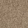 Mohawk Carpet: Renovate I 15 Flax Seed